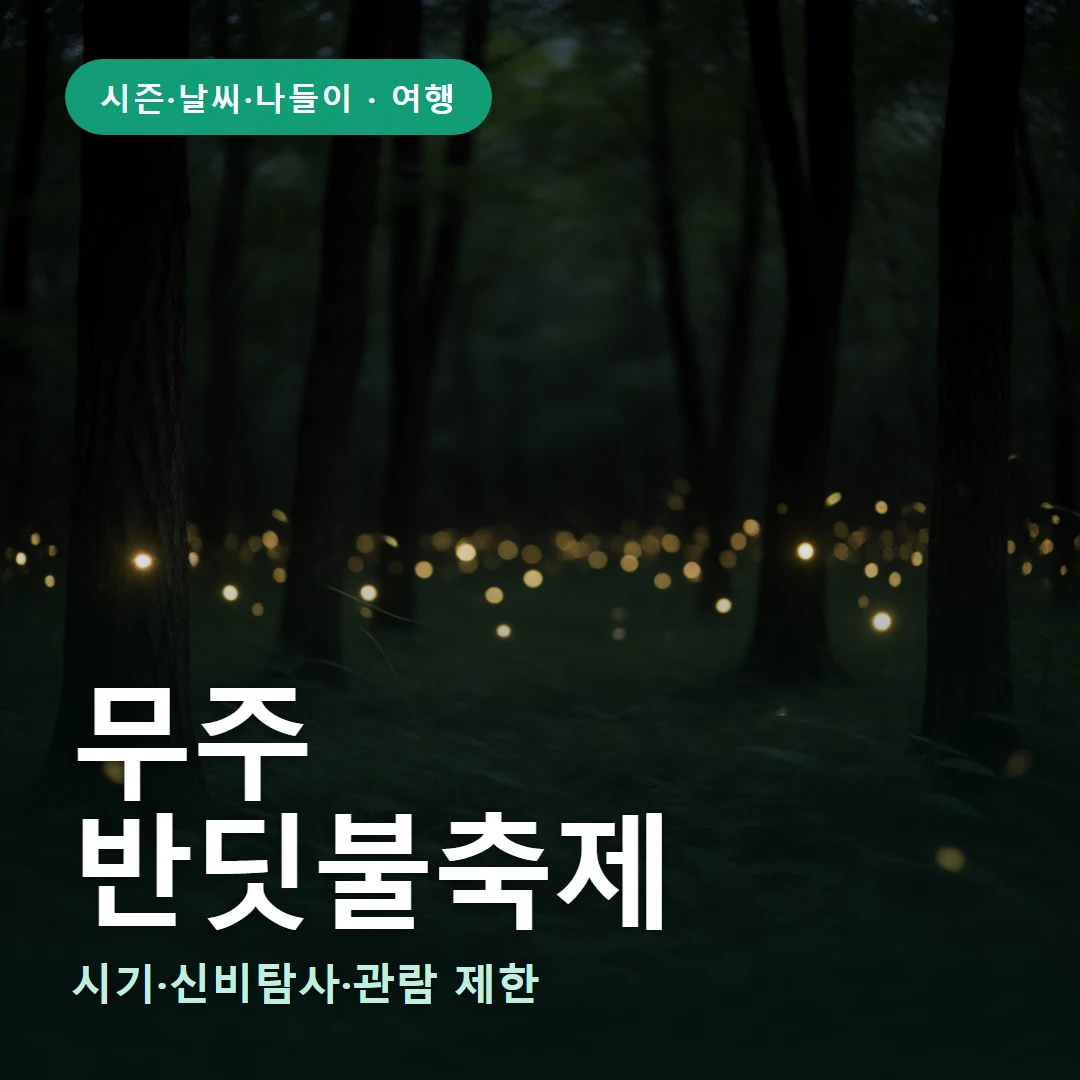 무주 요약 표지 — 시기·신비탐사·관람 제한