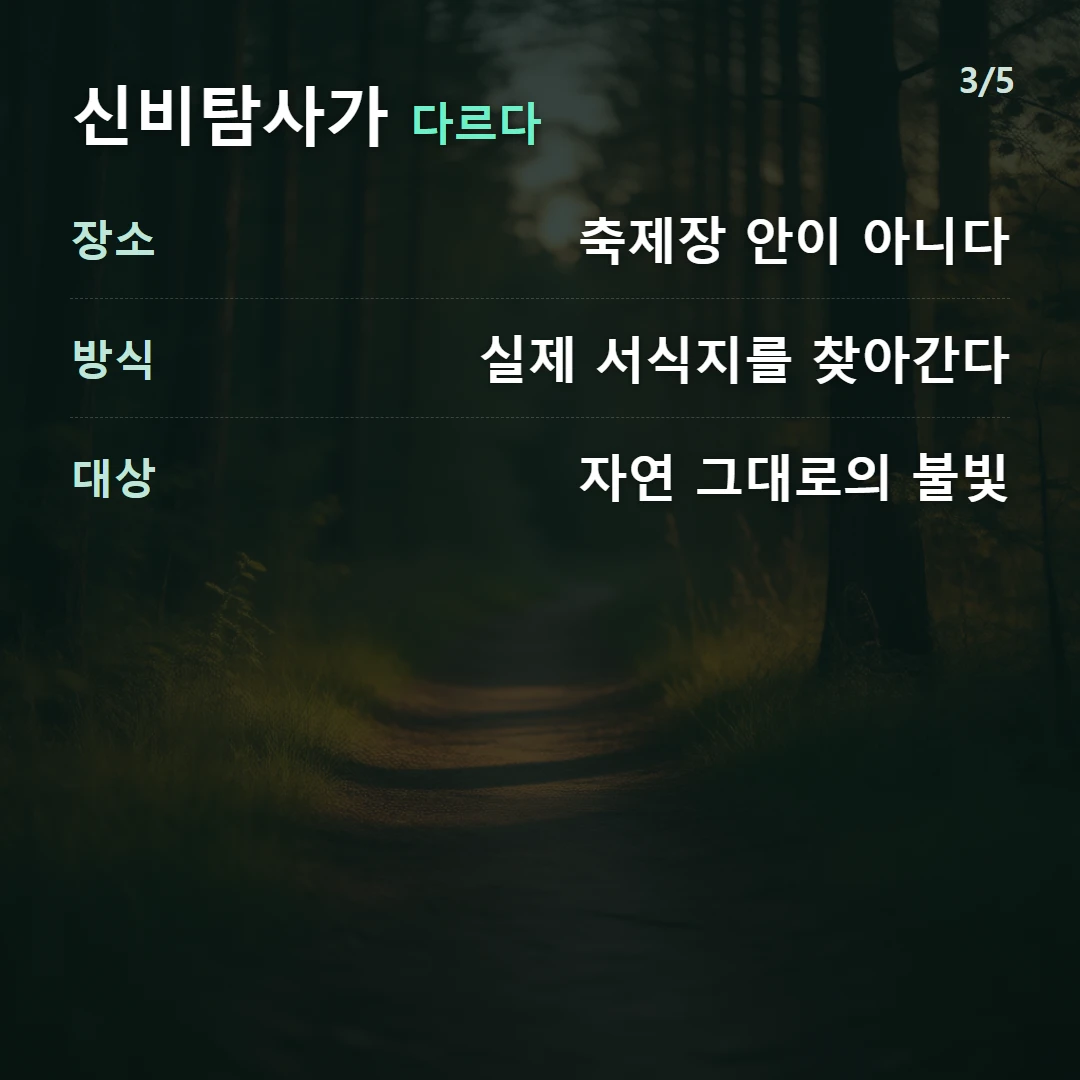 신비탐사가 다르다 — 장소 축제장 안이 아니다, 방식 실제 서식지를 찾아간다, 대상 자연 그대로의 불빛