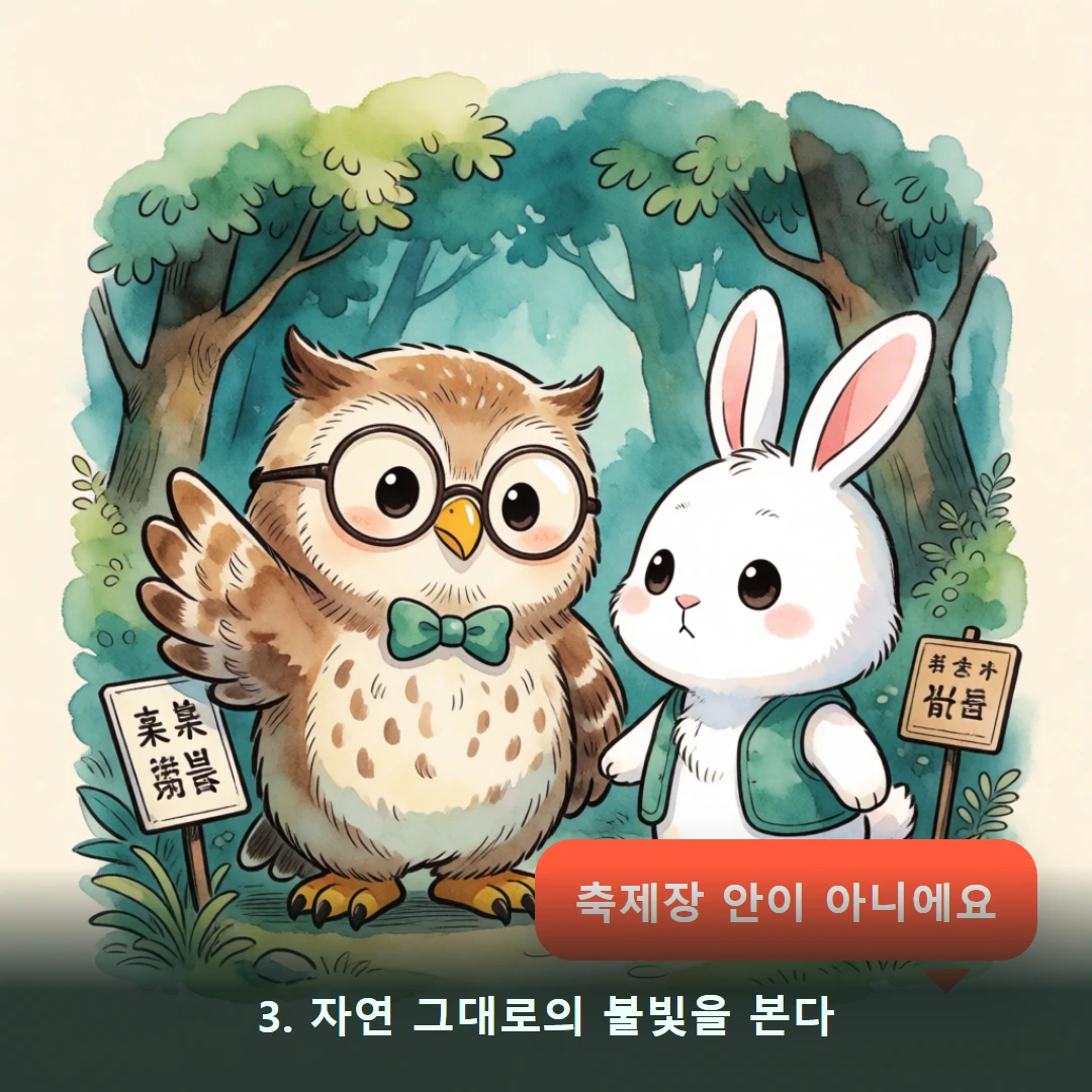 웹툰 3컷 — 3. 자연 그대로의 불빛을 본다 (축제장 안이 아니에요)