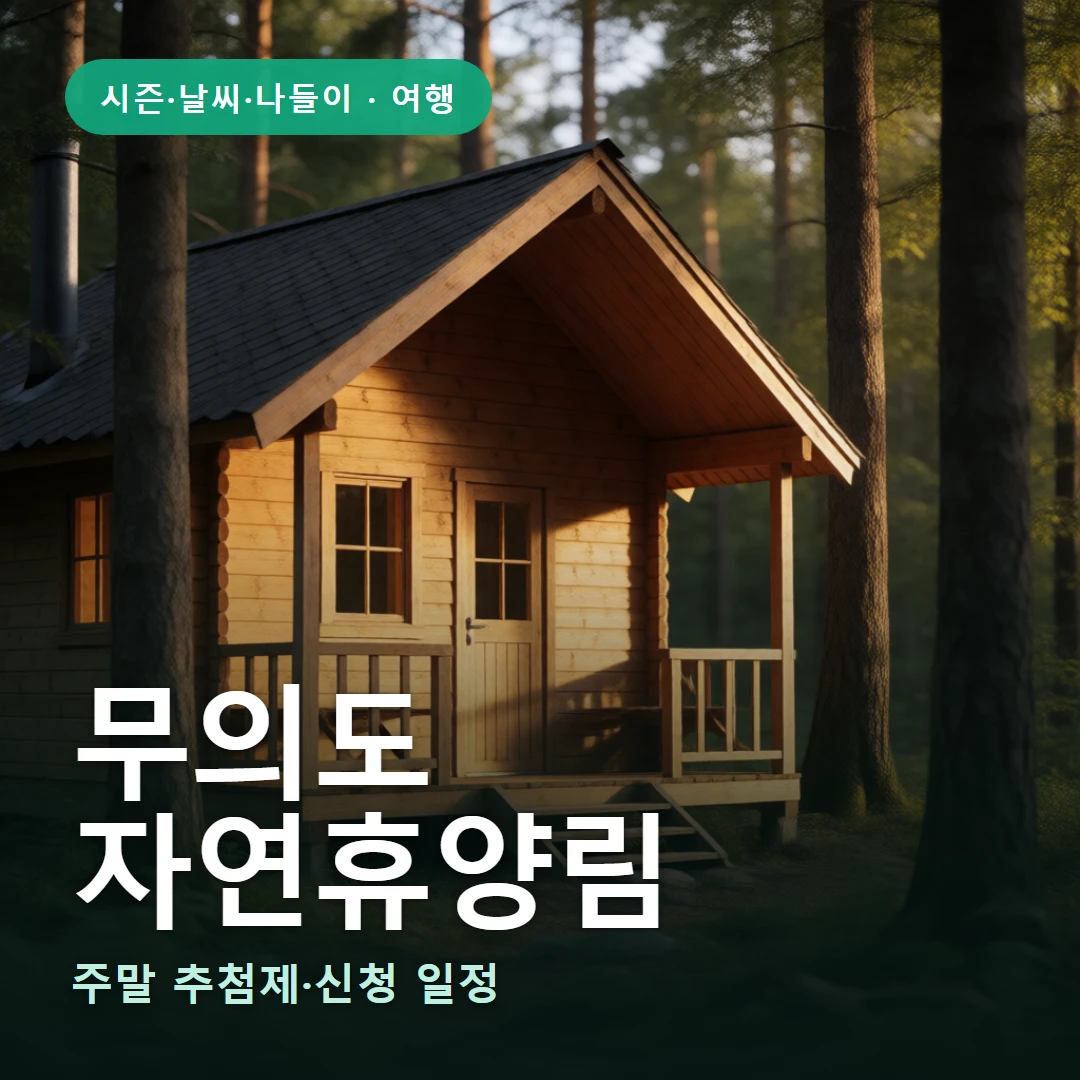 무의도 요약 표지 — 주말 추첨제·신청 일정
