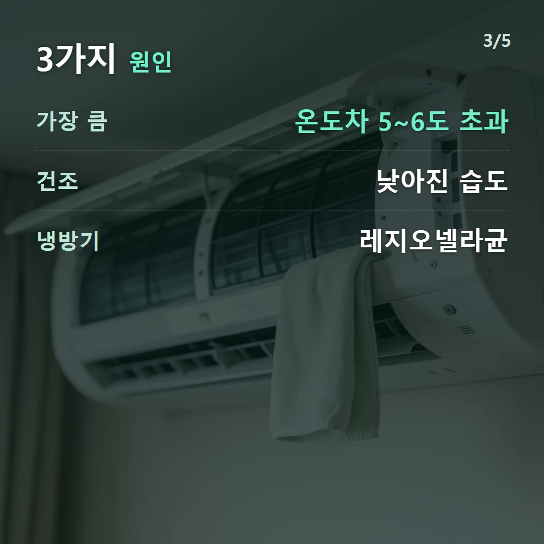 3가지 원인 — 가장 큼 온도차 5~6도 초과, 건조 낮아진 습도, 냉방기 레지오넬라균