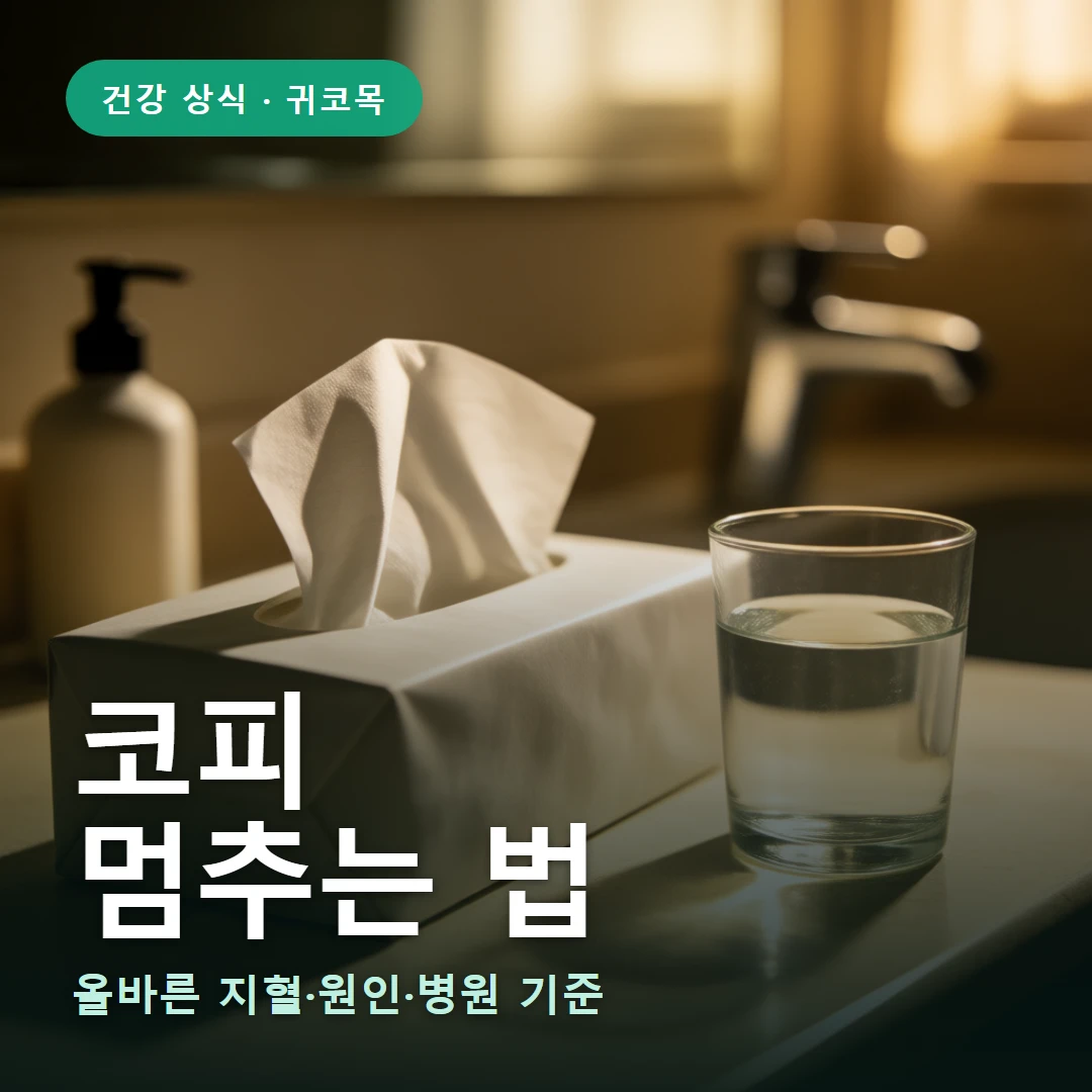 코피 요약 표지 — 올바른 지혈·원인·병원 기준