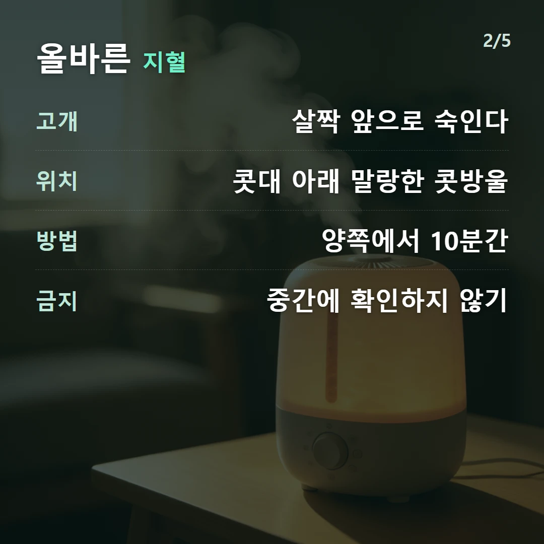 올바른 지혈 — 고개 살짝 앞으로 숙인다, 위치 콧대 아래 말랑한 콧방울, 방법 양쪽에서 10분간, 금지 중간에 확인하지 않기