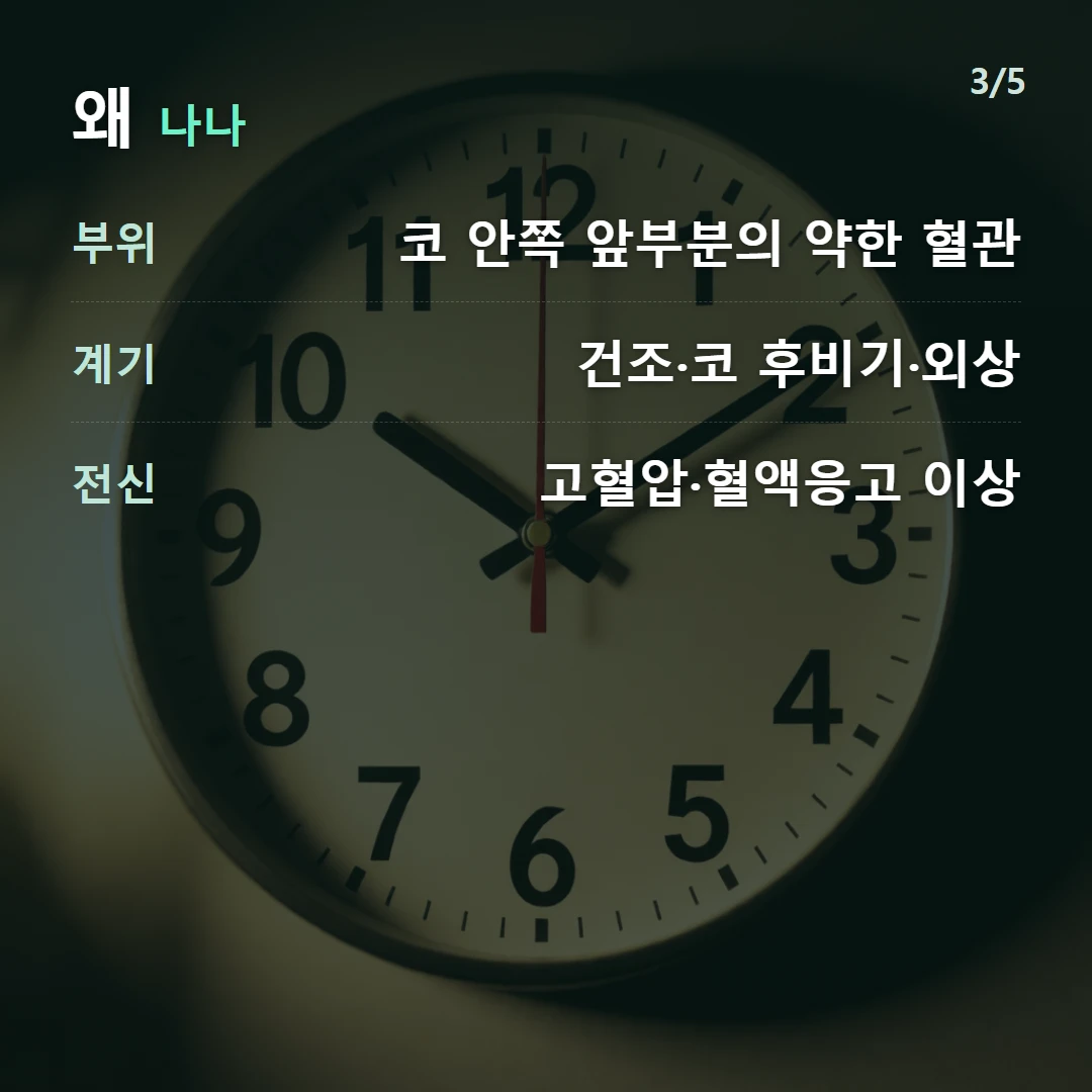 왜 나나 — 부위 코 안쪽 앞부분의 약한 혈관, 계기 건조·코 후비기·외상, 전신 고혈압·혈액응고 이상