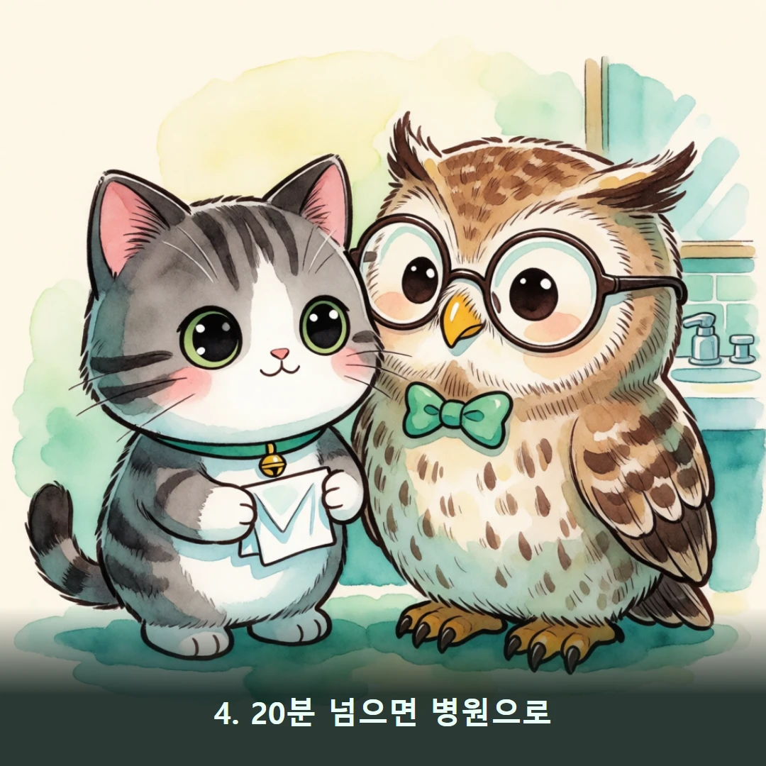 웹툰 4컷 — 4. 20분 넘으면 병원으로