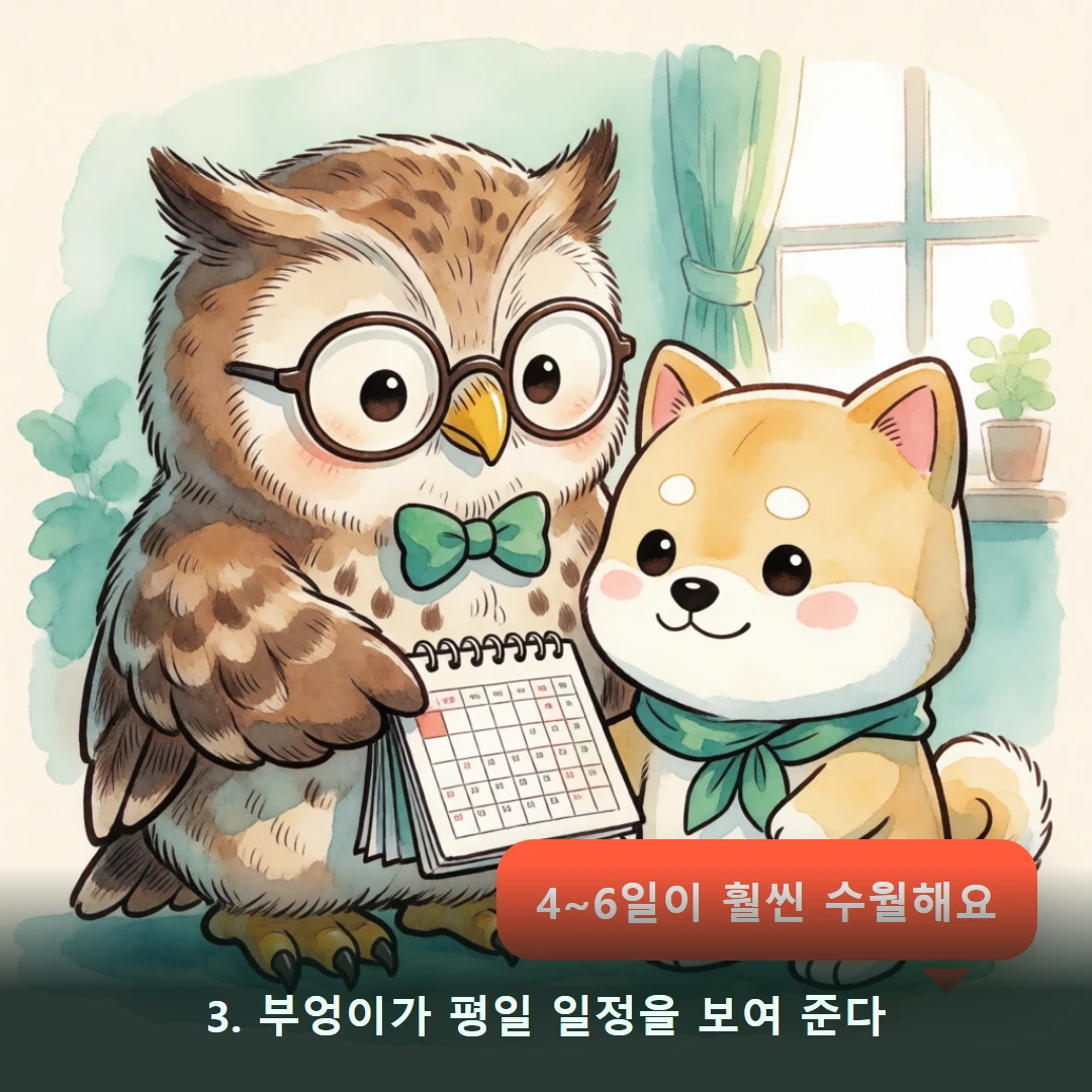 웹툰 3컷 — 3. 부엉이가 평일 일정을 보여 준다 (4~6일이 훨씬 수월해요)