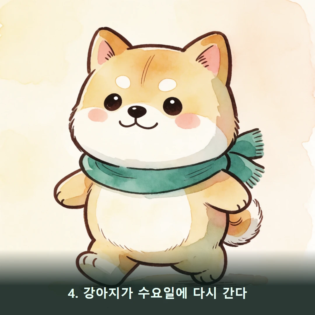 웹툰 4컷 — 4. 강아지가 수요일에 다시 간다