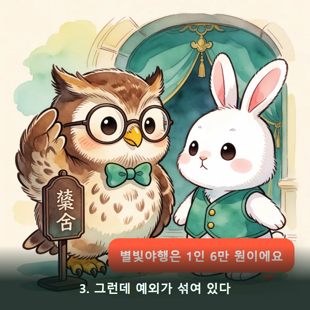 웹툰 3컷 — 3. 그런데 예외가 섞여 있다 (별빛야행은 1인 6만 원이에요)