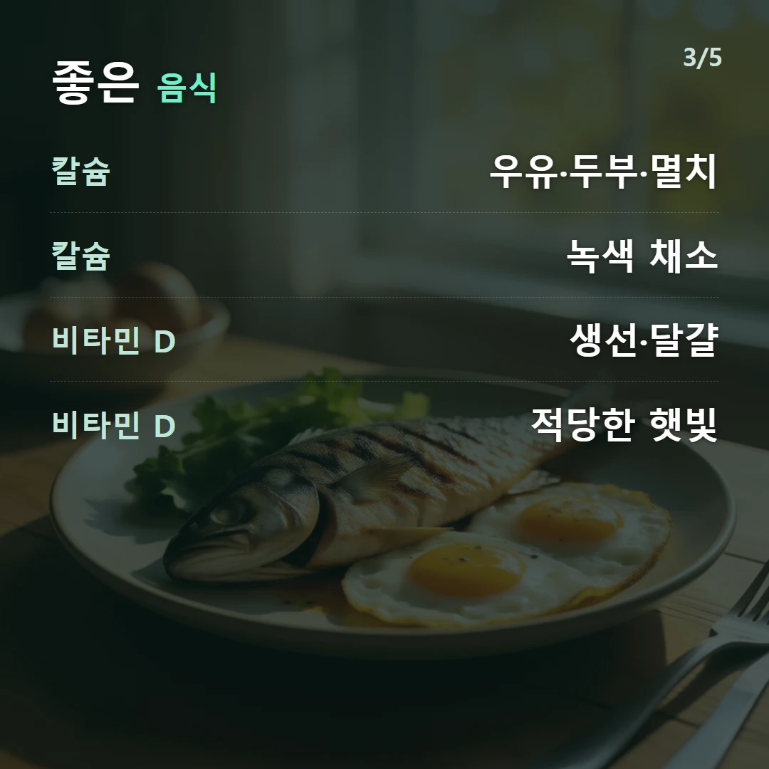 좋은 음식 — 칼슘 우유·두부·멸치, 칼슘 녹색 채소, 비타민 D 생선·달걀, 비타민 D 적당한 햇빛
