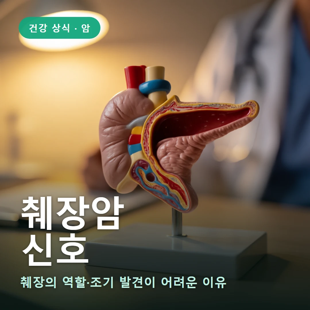 췌장암 요약 표지 — 췌장의 역할·조기 발견이 어려운 이유