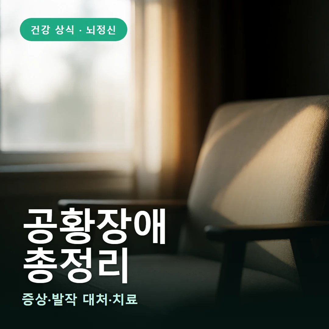 공황장애 요약 표지 — 증상·발작 대처·치료