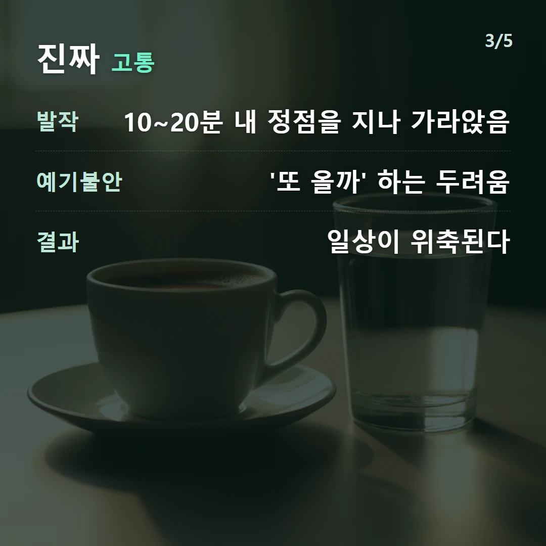 진짜 고통 — 발작 10~20분 내 정점을 지나 가라앉음, 예기불안 '또 올까' 하는 두려움, 결과 일상이 위축된다