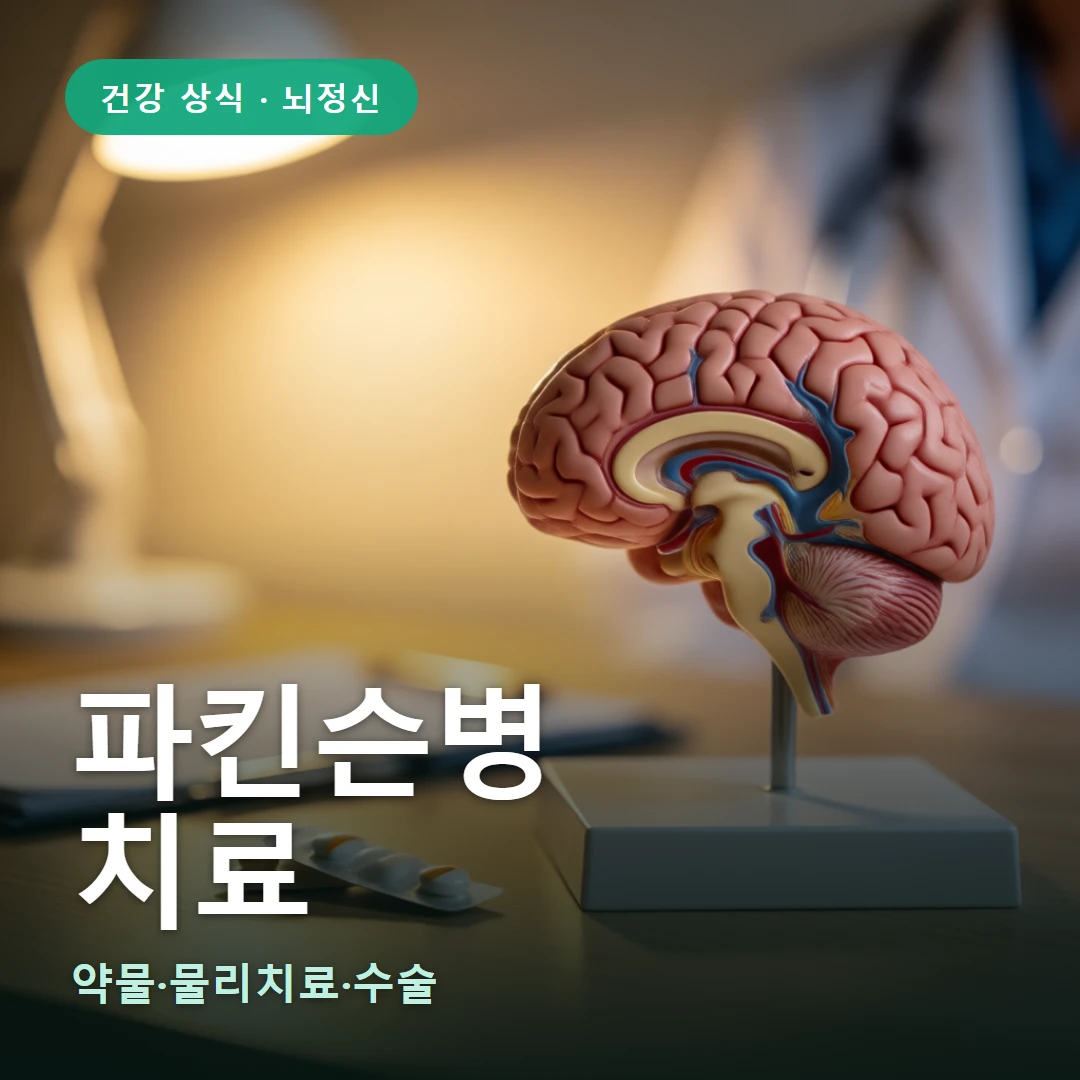 파킨슨병 요약 표지 — 약물·물리치료·수술