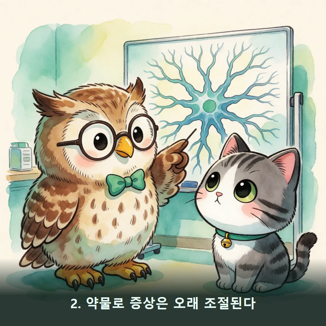 웹툰 2컷 — 2. 약물로 증상은 오래 조절된다