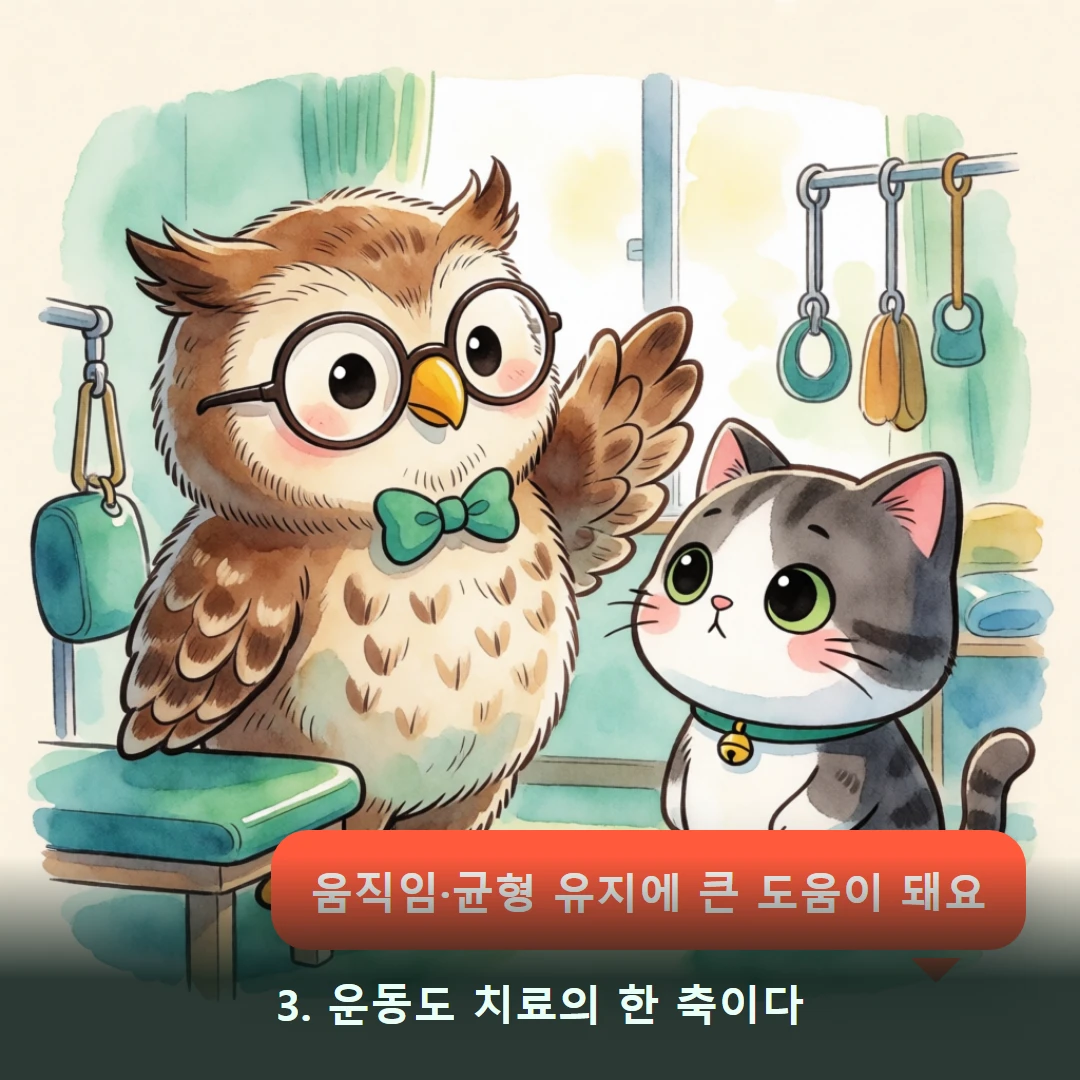 웹툰 3컷 — 3. 운동도 치료의 한 축이다 (움직임·균형 유지에 큰 도움이 돼요)