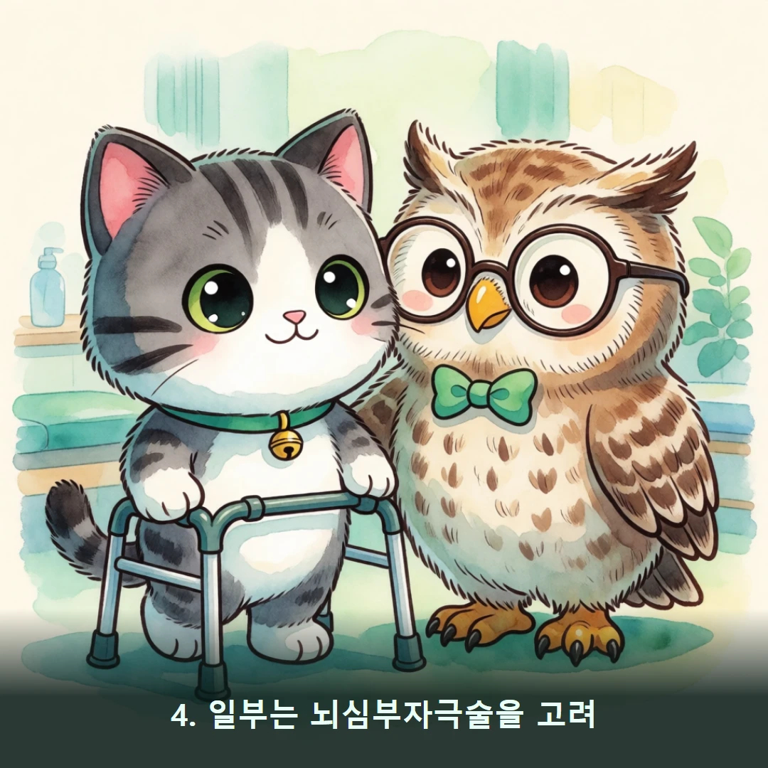 웹툰 4컷 — 4. 일부는 뇌심부자극술을 고려