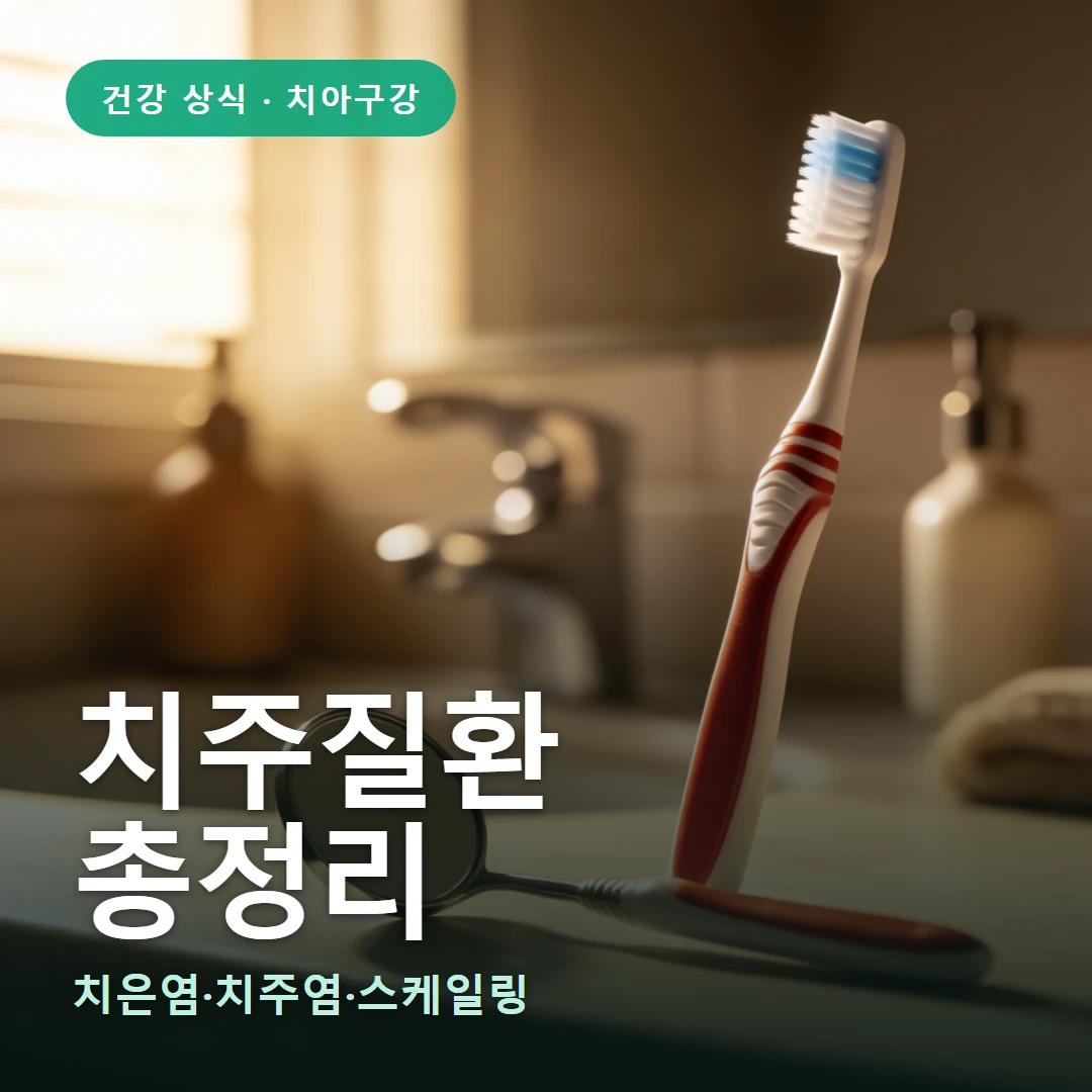 치주질환 요약 표지 — 치은염·치주염·스케일링