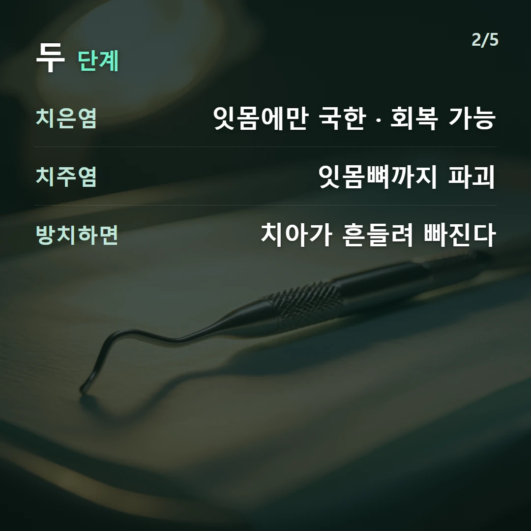 두 단계 — 치은염 잇몸에만 국한 · 회복 가능, 치주염 잇몸뼈까지 파괴, 방치하면 치아가 흔들려 빠진다