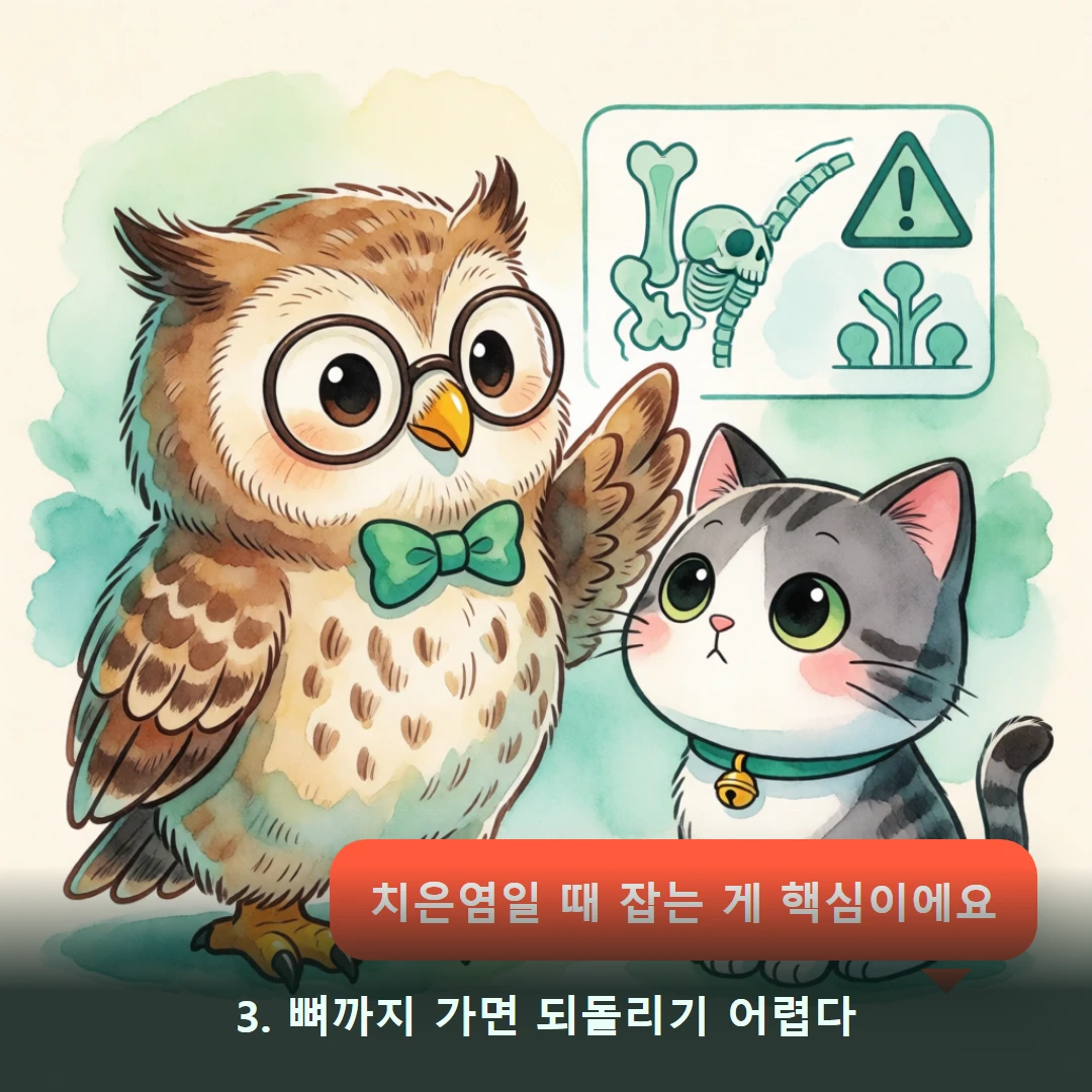 웹툰 3컷 — 3. 뼈까지 가면 되돌리기 어렵다 (치은염일 때 잡는 게 핵심이에요)