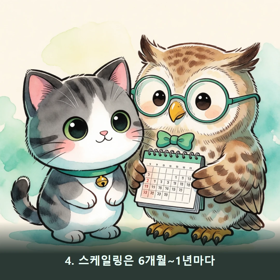웹툰 4컷 — 4. 스케일링은 6개월~1년마다