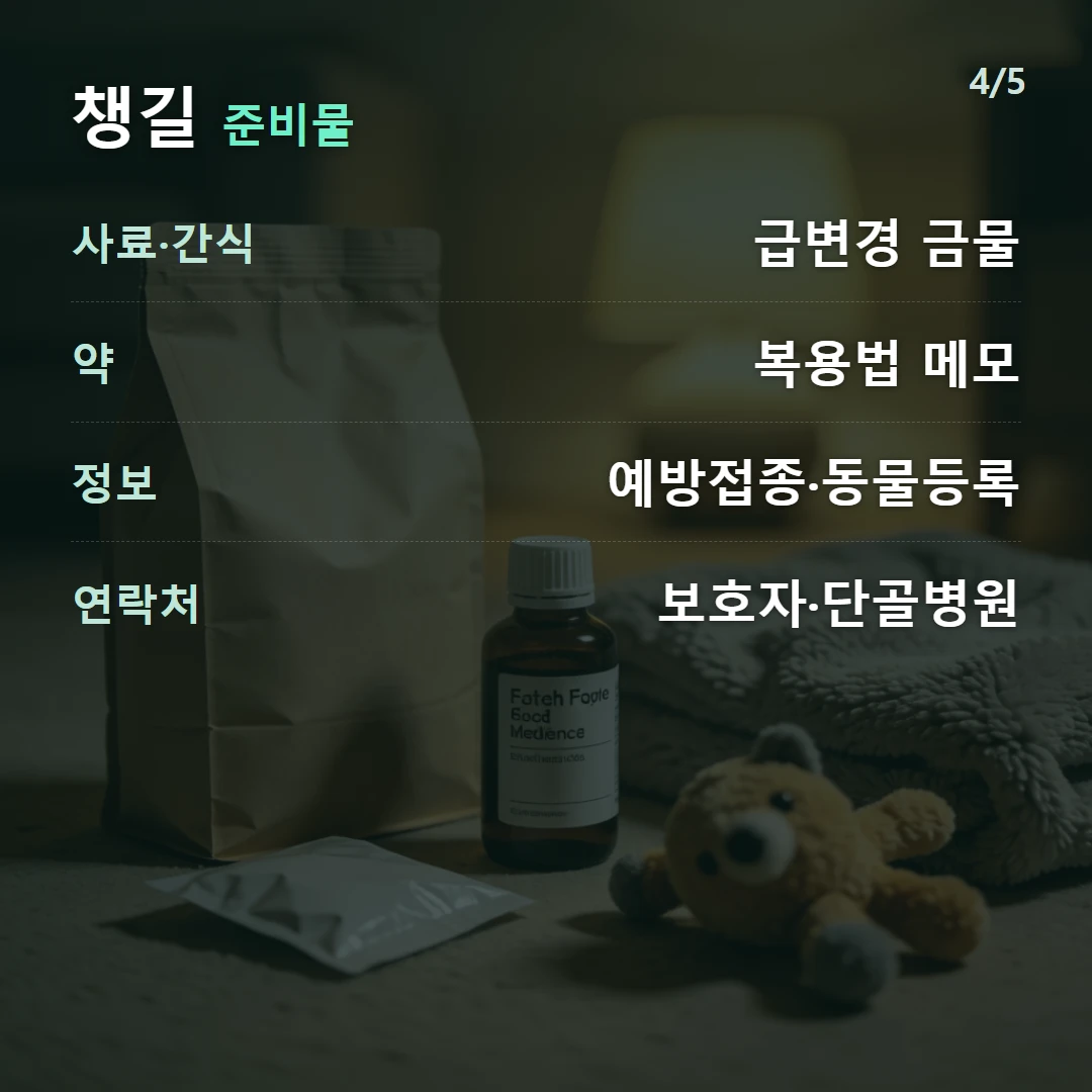 챙길 준비물 — 사료·간식 급변경 금물, 약 복용법 메모, 정보 예방접종·동물등록, 연락처 보호자·단골병원