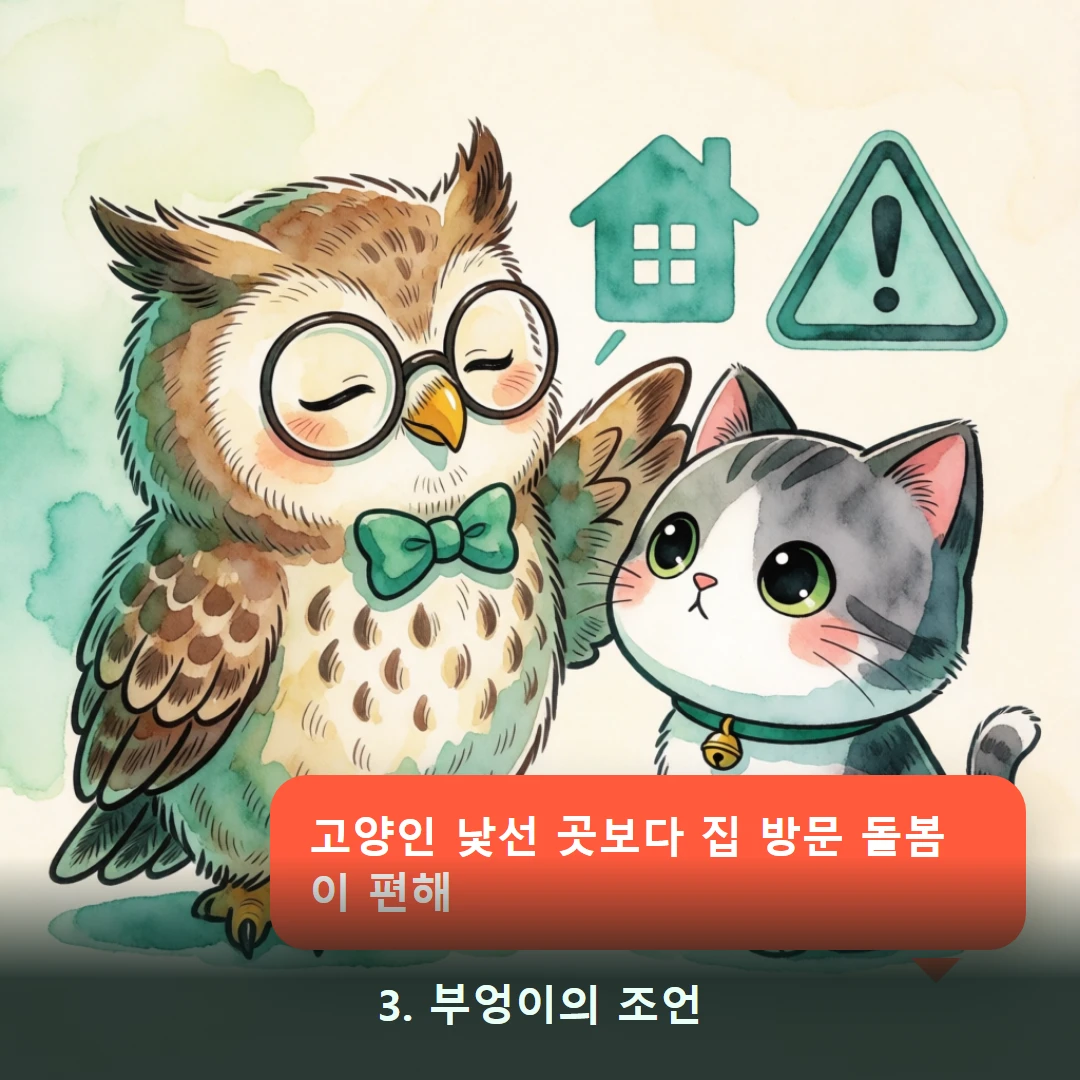 웹툰 3컷 — 3. 부엉이의 조언 (고양인 낯선 곳보다 집 방문 돌봄이 편해)
