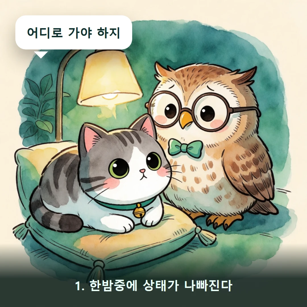 웹툰 1컷 — 1. 한밤중에 상태가 나빠진다 (어디로 가야 하지)