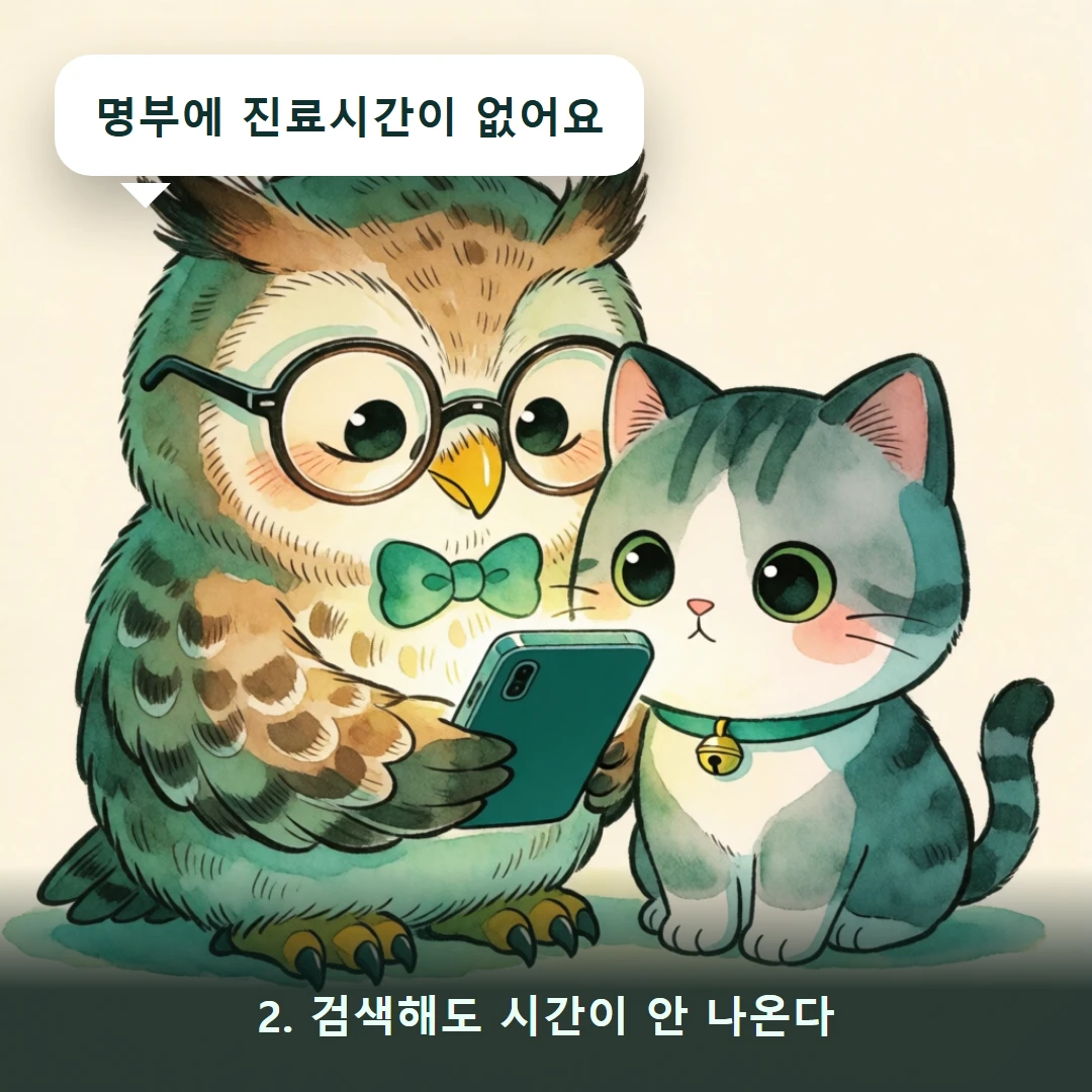웹툰 2컷 — 2. 검색해도 시간이 안 나온다 (명부에 진료시간이 없어요)