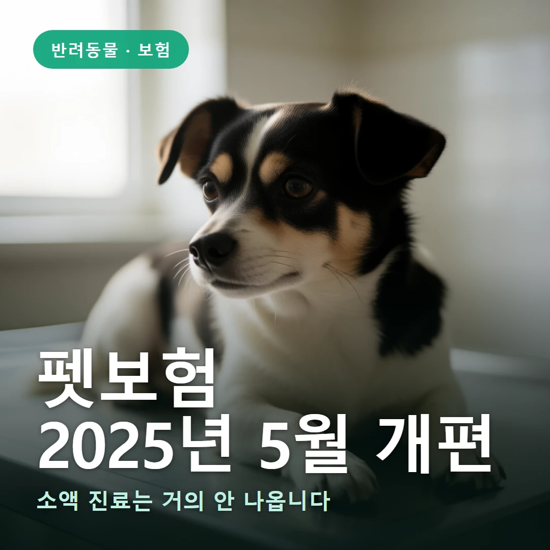 펫보험 요약 표지 — 소액 진료는 거의 안 나옵니다