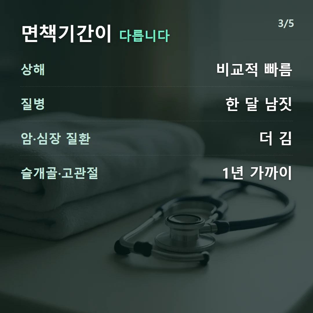 면책기간이 다릅니다 — 상해 비교적 빠름, 질병 한 달 남짓, 암·심장 질환 더 김, 슬개골·고관절 1년 가까이