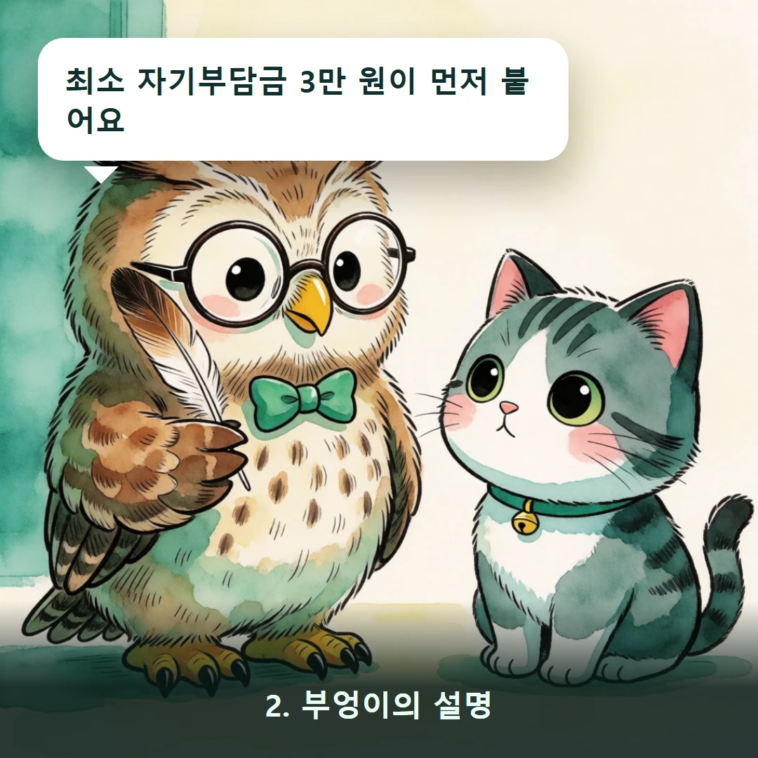 웹툰 2컷 — 2. 부엉이의 설명 (최소 자기부담금 3만 원이 먼저 붙어요)