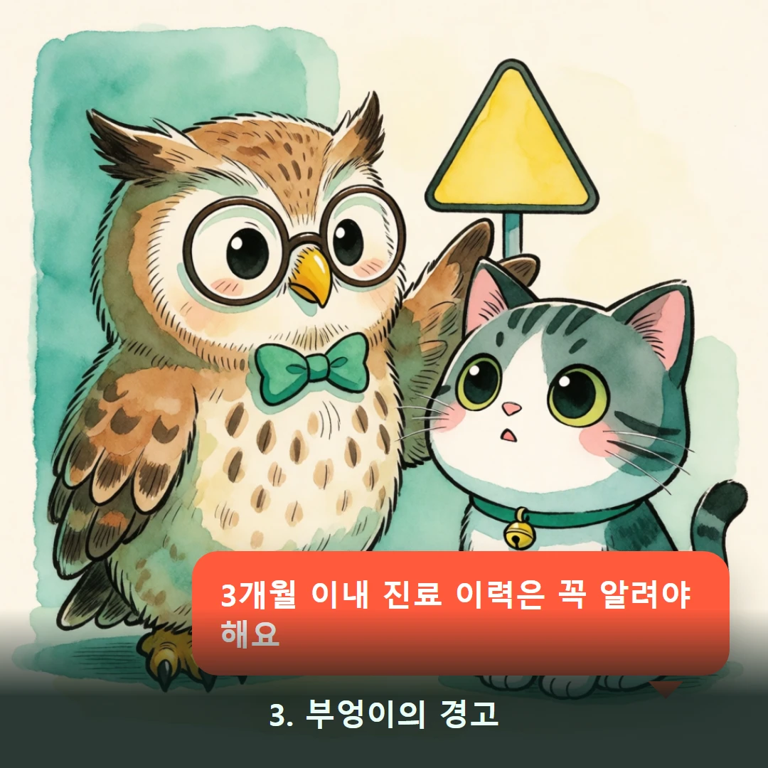 웹툰 3컷 — 3. 부엉이의 경고 (3개월 이내 진료 이력은 꼭 알려야 해요)