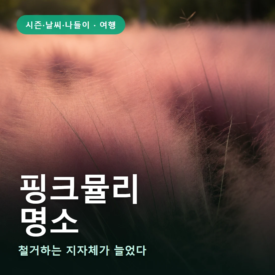 핑크뮬리 요약 표지 — 철거하는 지자체가 늘었다