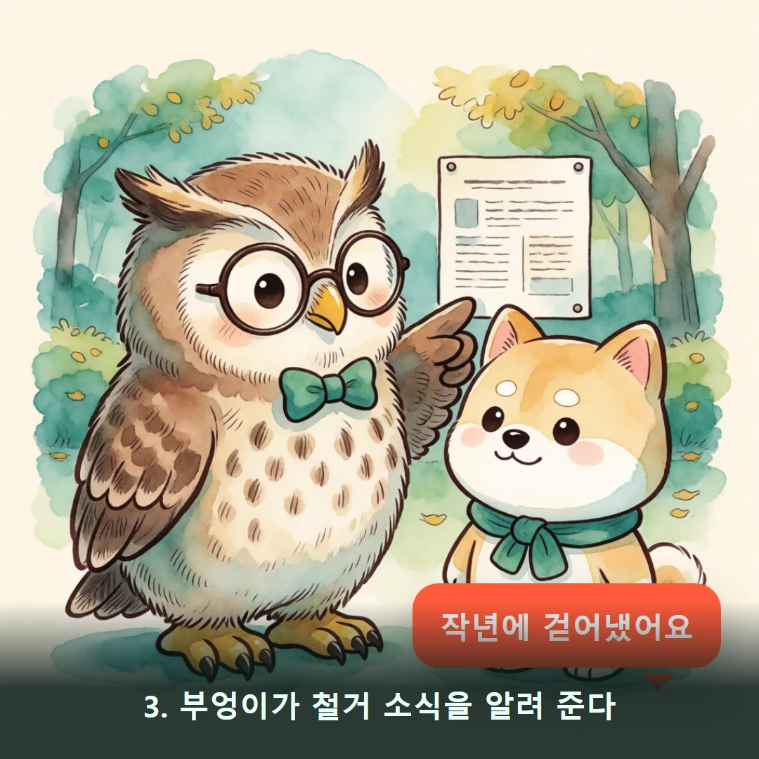 웹툰 3컷 — 3. 부엉이가 철거 소식을 알려 준다 (작년에 걷어냈어요)
