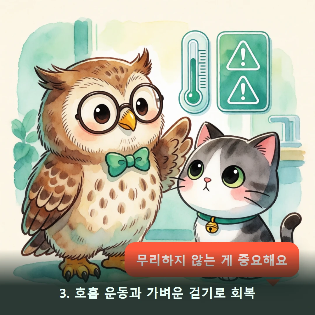 웹툰 3컷 — 3. 호흡 운동과 가벼운 걷기로 회복 (무리하지 않는 게 중요해요)