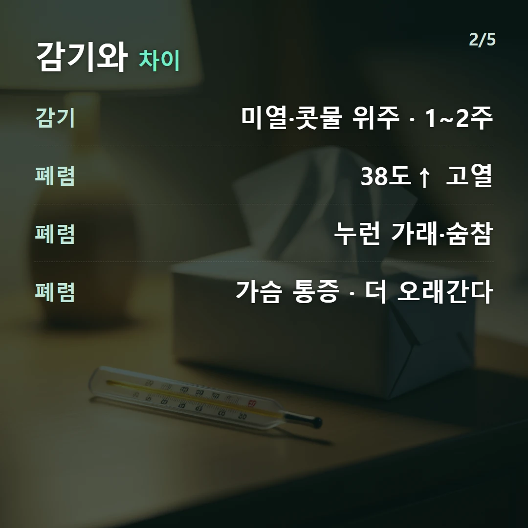감기와 차이 — 감기 미열·콧물 위주 · 1~2주, 폐렴 38도↑ 고열, 폐렴 누런 가래·숨참, 폐렴 가슴 통증 · 더 오래간다