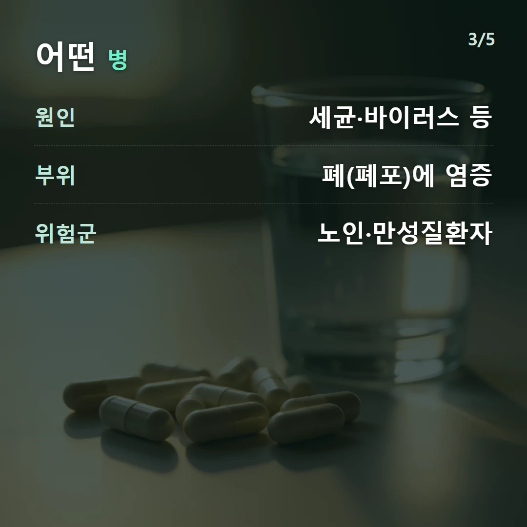 어떤 병 — 원인 세균·바이러스 등, 부위 폐(폐포)에 염증, 위험군 노인·만성질환자