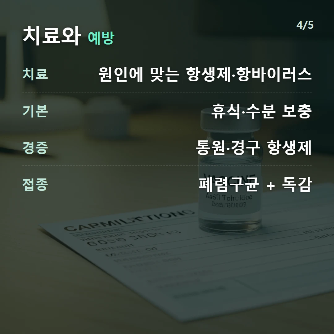 치료와 예방 — 치료 원인에 맞는 항생제·항바이러스, 기본 휴식·수분 보충, 경증 통원·경구 항생제, 접종 폐렴구균 + 독감