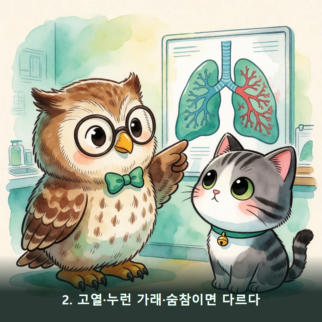웹툰 2컷 — 2. 고열·누런 가래·숨참이면 다르다