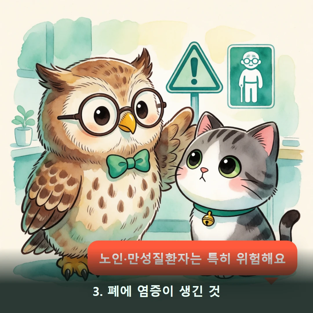 웹툰 3컷 — 3. 폐에 염증이 생긴 것 (노인·만성질환자는 특히 위험해요)