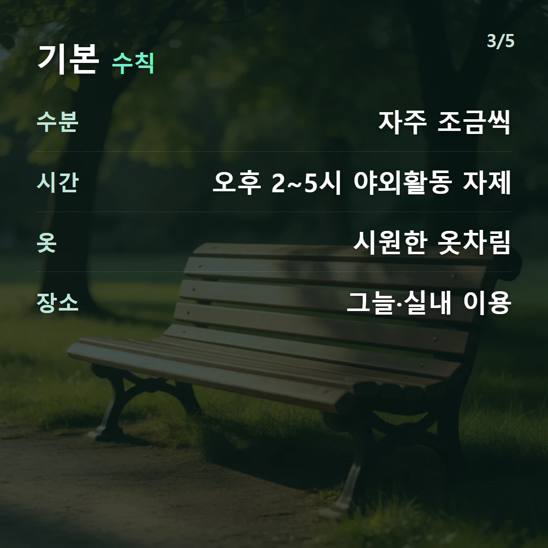 기본 수칙 — 수분 자주 조금씩, 시간 오후 2~5시 야외활동 자제, 옷 시원한 옷차림, 장소 그늘·실내 이용