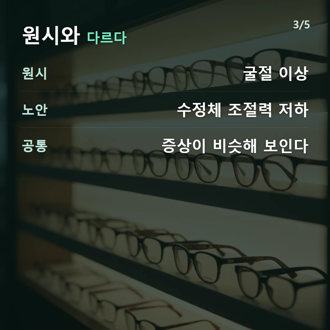 원시와 다르다 — 원시 굴절 이상, 노안 수정체 조절력 저하, 공통 증상이 비슷해 보인다