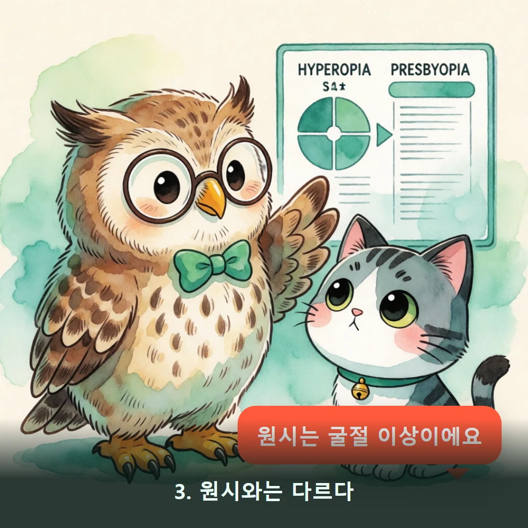 웹툰 3컷 — 3. 원시와는 다르다 (원시는 굴절 이상이에요)