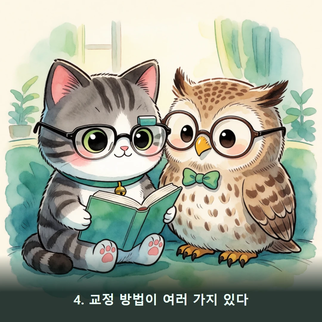 웹툰 4컷 — 4. 교정 방법이 여러 가지 있다