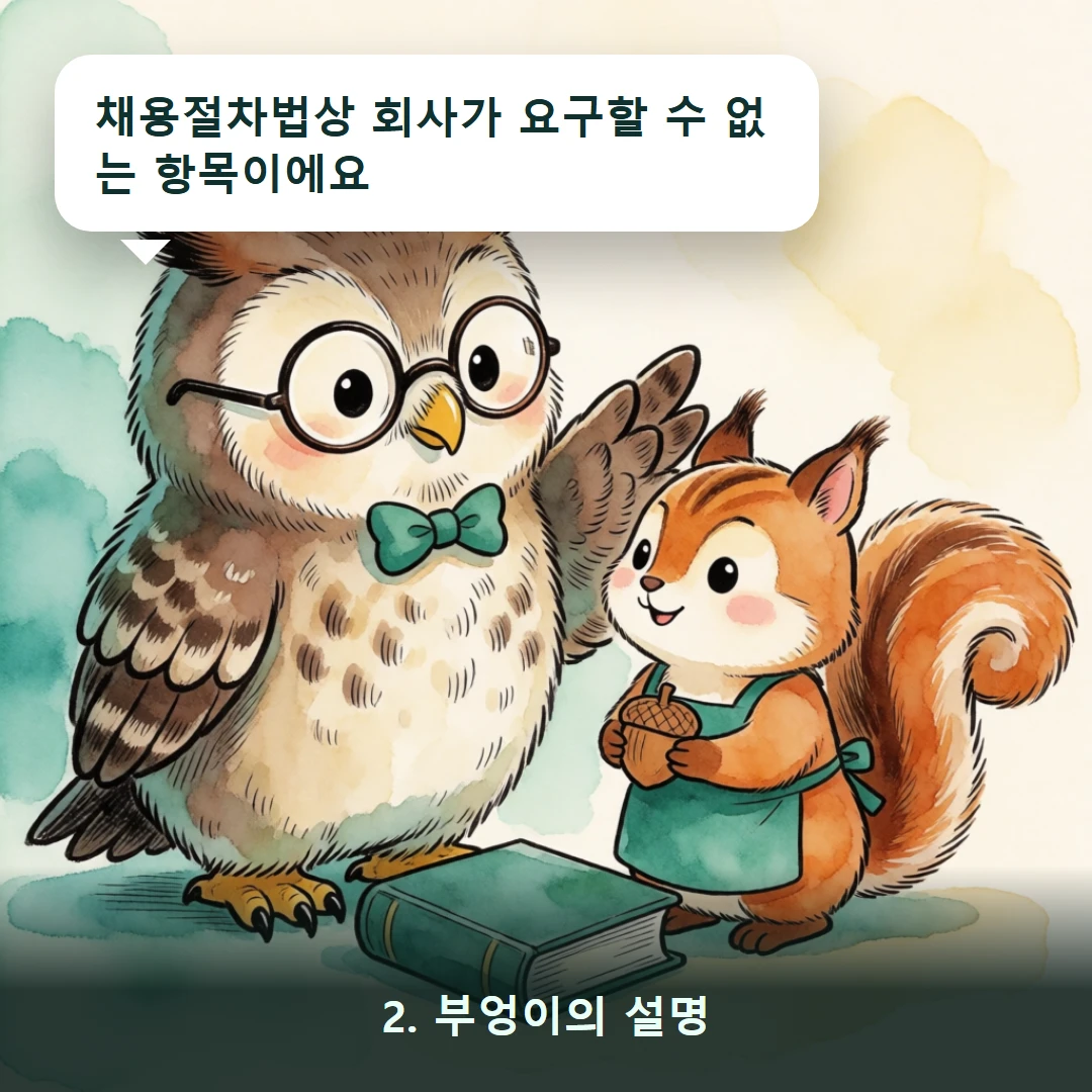 웹툰 2컷 — 2. 부엉이의 설명 (채용절차법상 회사가 요구할 수 없는 항목이에요)