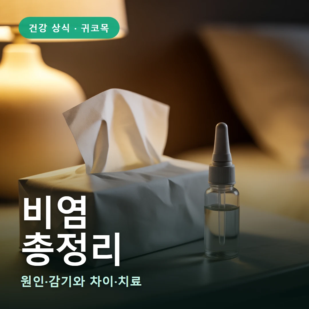 비염 요약 표지 — 원인·감기와 차이·치료