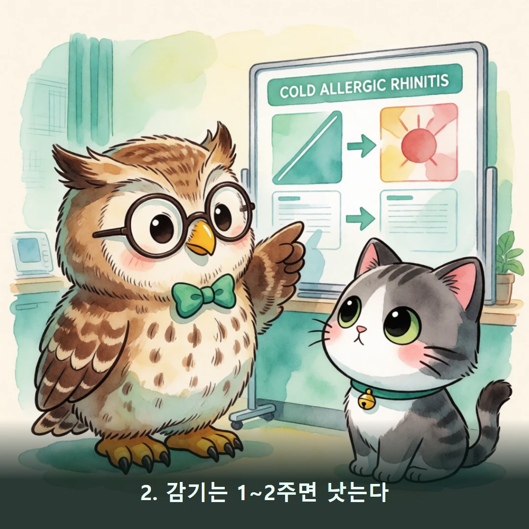웹툰 2컷 — 2. 감기는 1~2주면 낫는다