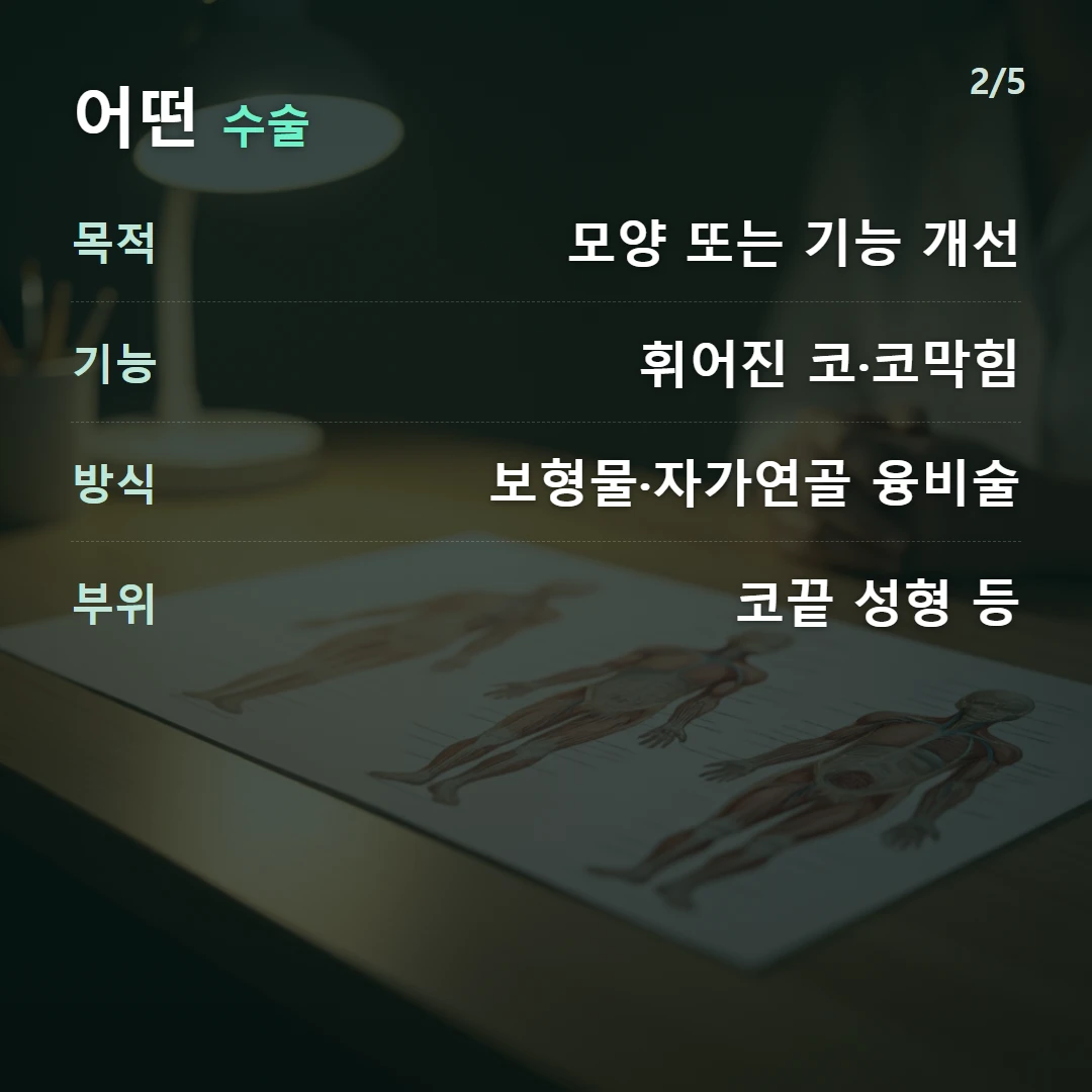어떤 수술 — 목적 모양 또는 기능 개선, 기능 휘어진 코·코막힘, 방식 보형물·자가연골 융비술, 부위 코끝 성형 등
