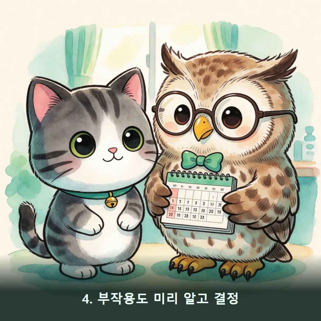 웹툰 4컷 — 4. 부작용도 미리 알고 결정