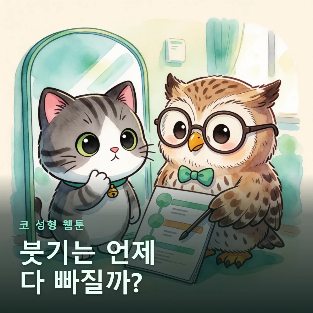 코 성형 웹툰 표지 — 붓기는 언제 다 빠질까?